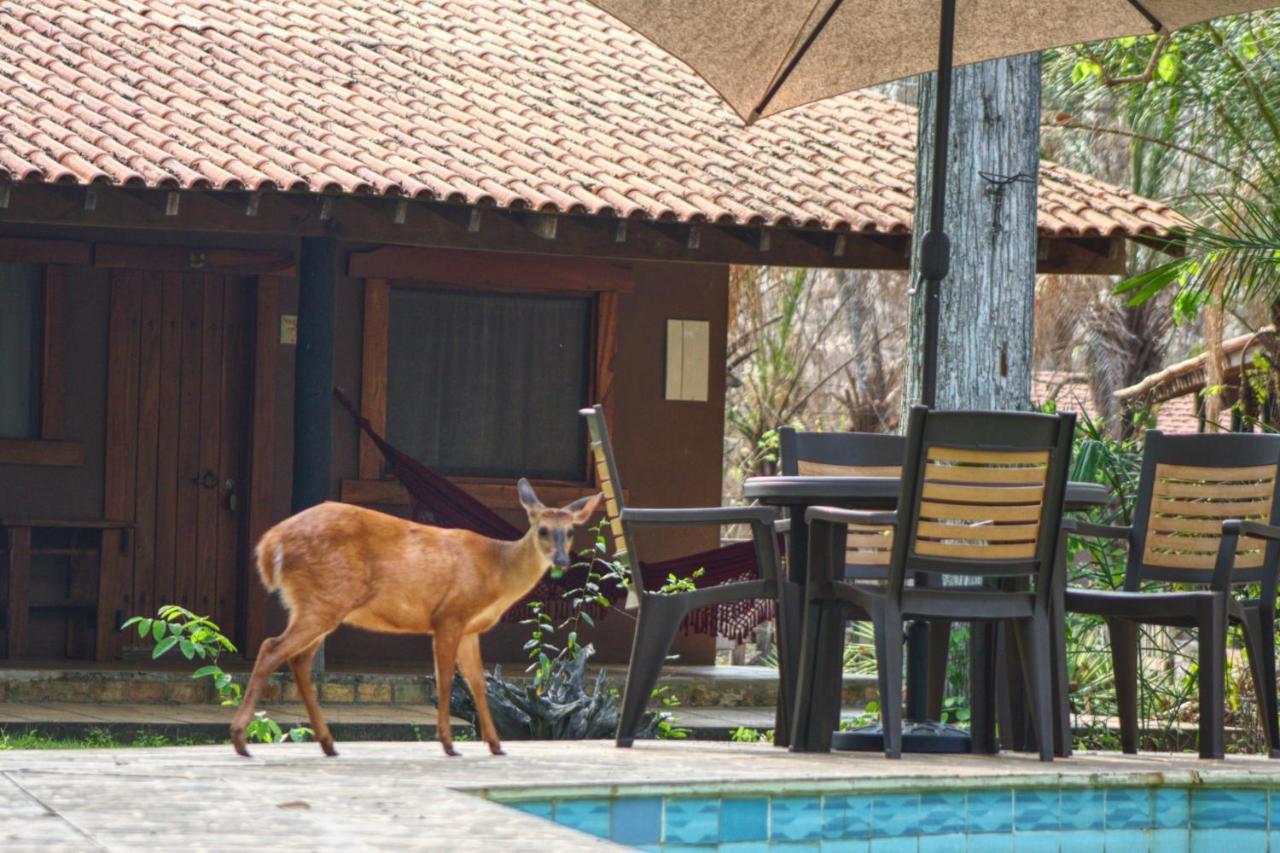 Aymara Lodge Поконе Экстерьер фото